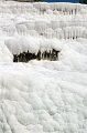 0161 Pamukkale-Hierapolis